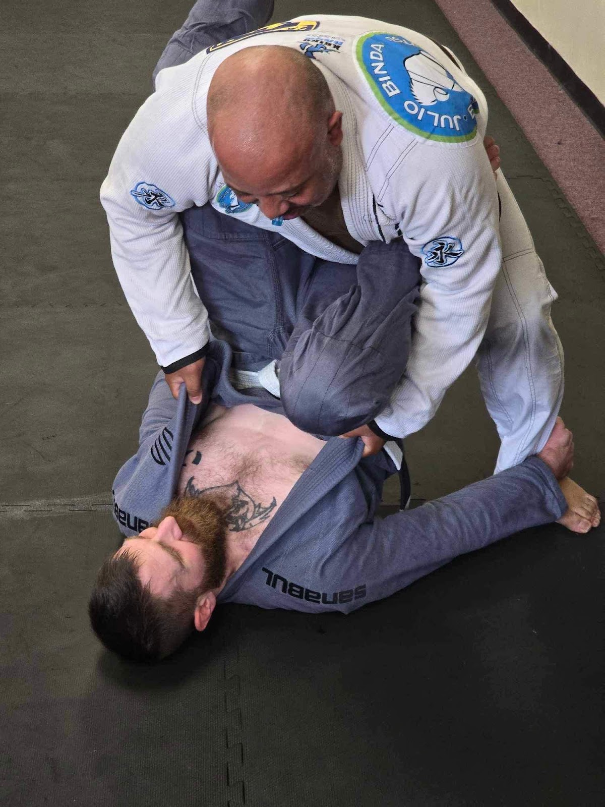 Image 8 of Silvestrebjj