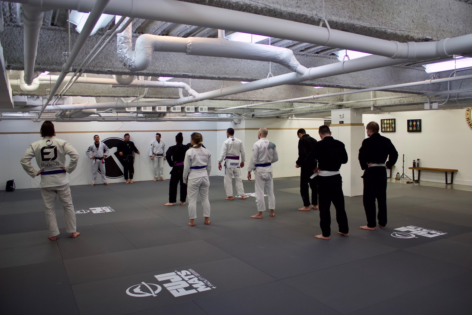 Image 6 of Hammer Jiu Jitsu