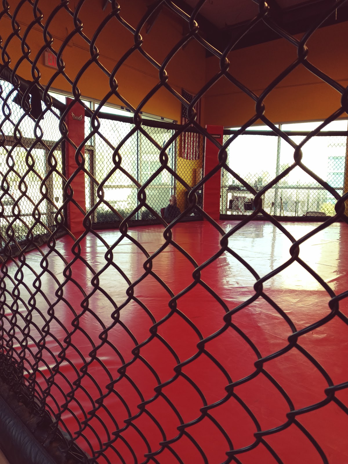 Image 7 of Halo Jiu-Jitsu Training Center