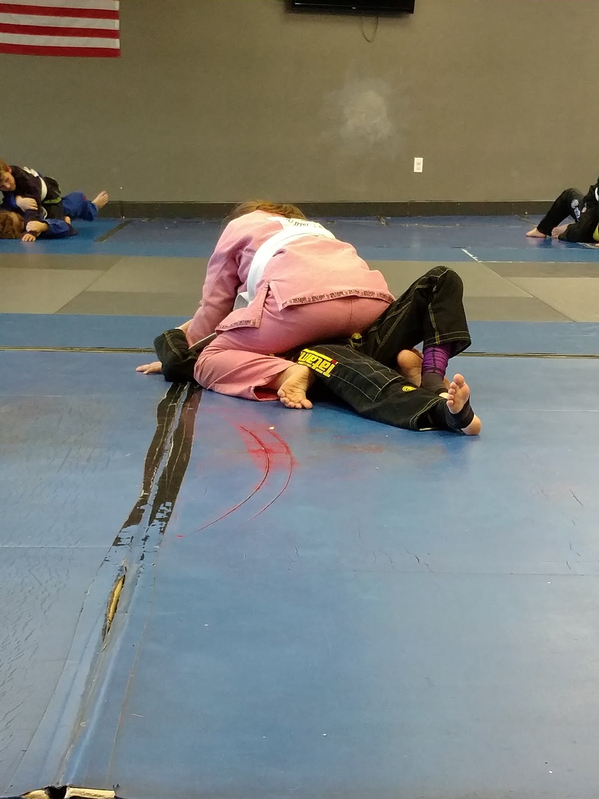 Image 7 of The Jiujitsu Project