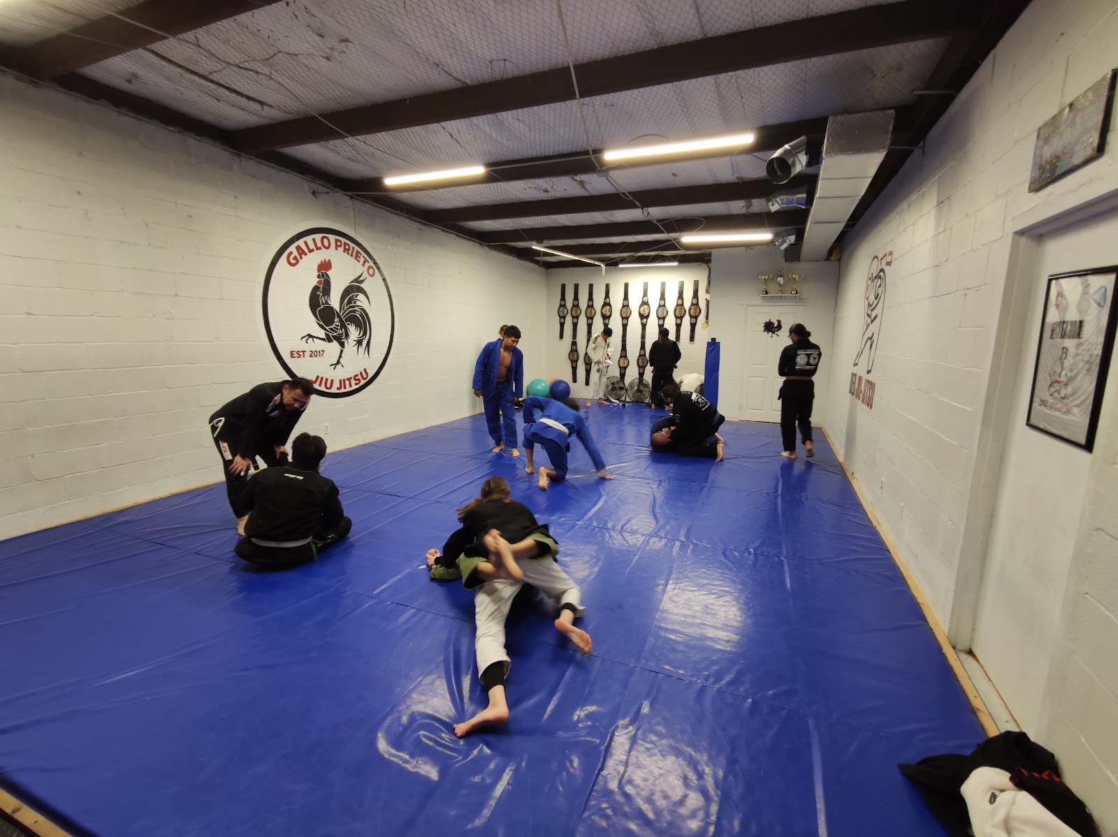 Main image of Deo Jiu Jitsu Laredo / Gallo Prieto Jiu Jitsu