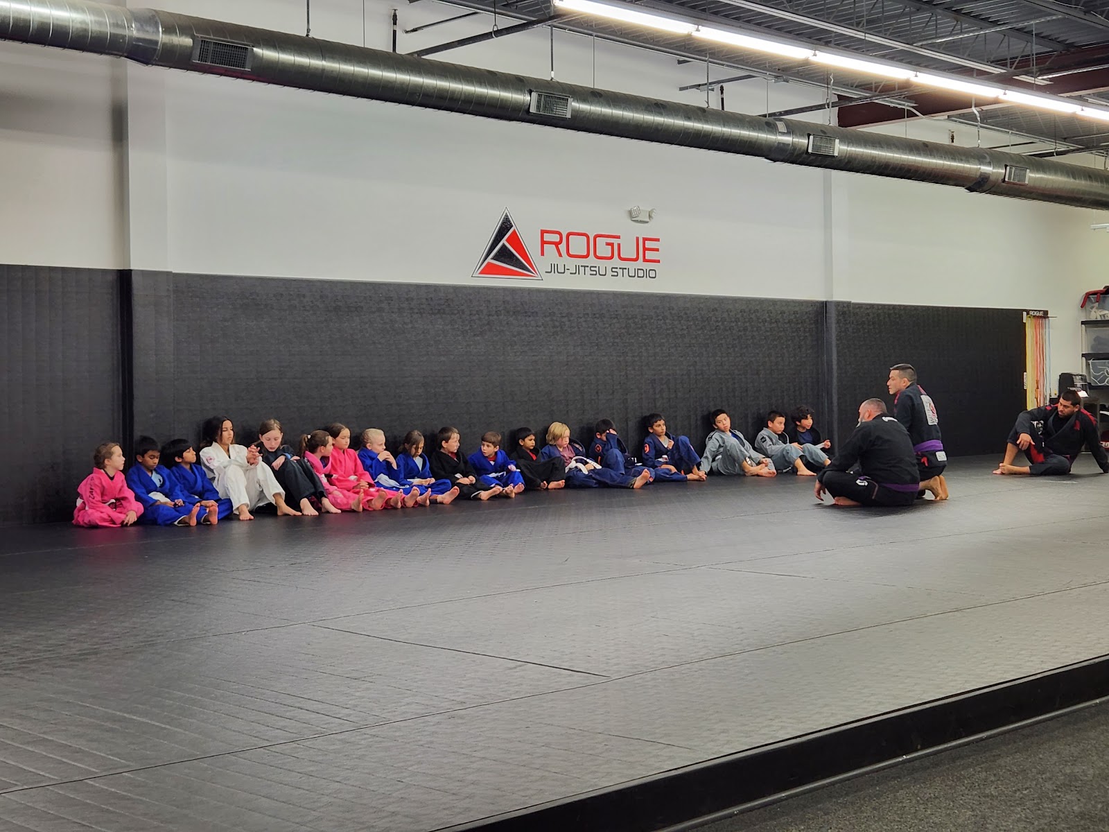 Image 9 of Rogue Jiu-Jitsu Studio