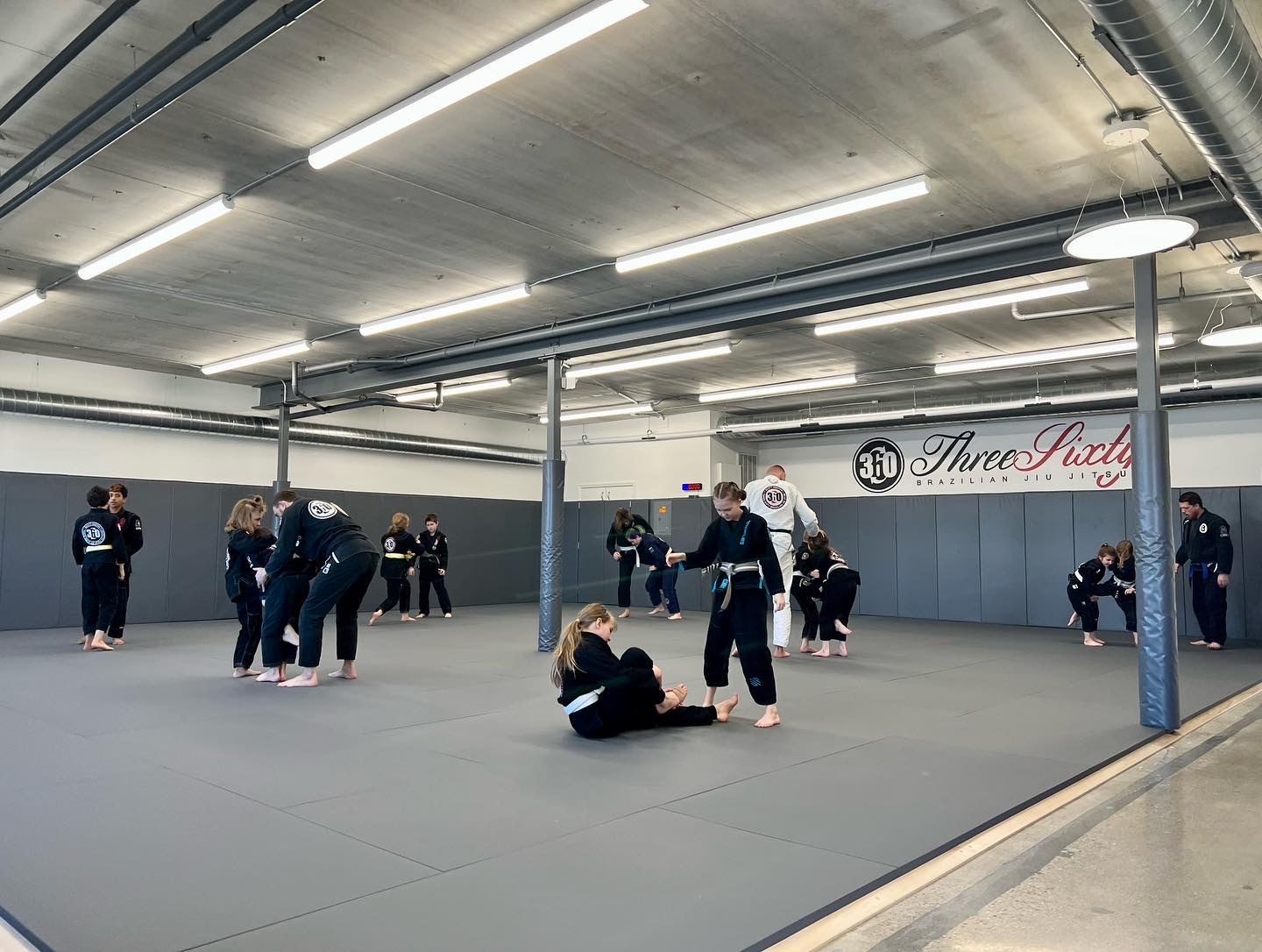 Image 4 of 360 Brazilian Jiu-Jitsu Academy Brookfield