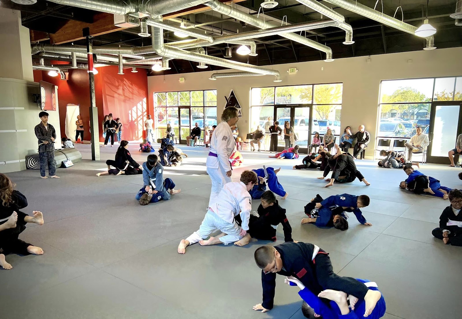 Main image of Waza Brazilian Jiu Jitsu