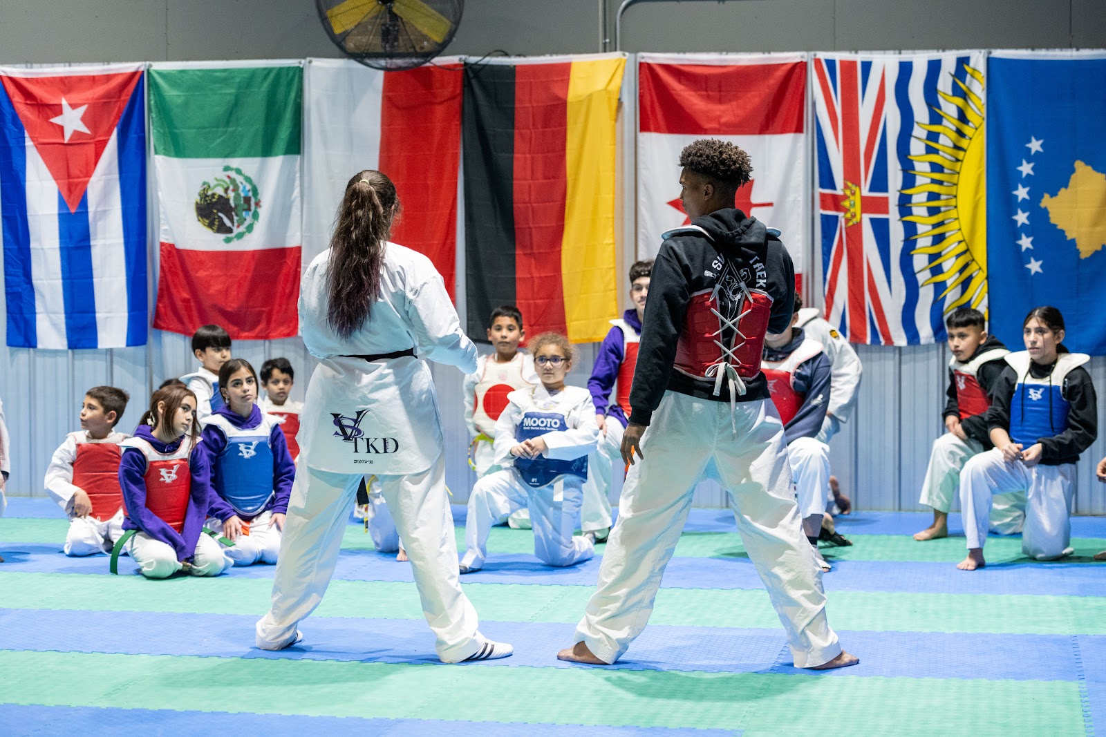 Image 9 of SVega Taekwondo, Jiu-jitsu and Training Center