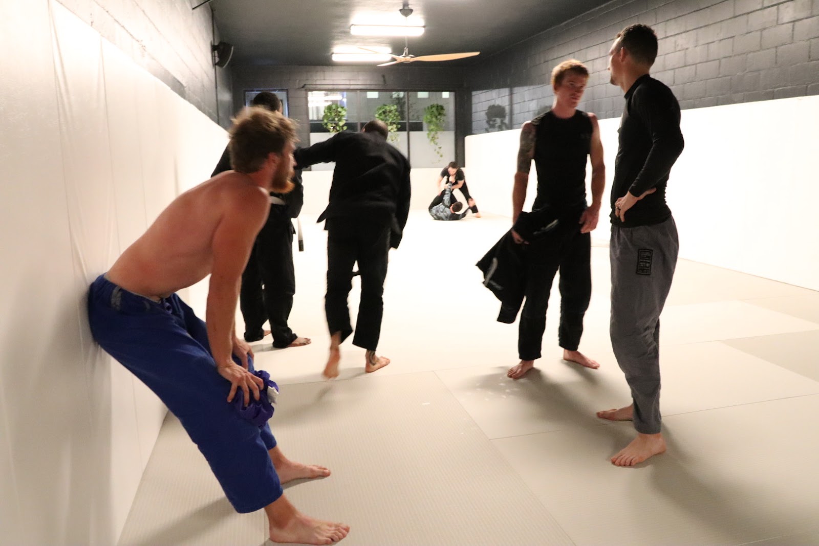 Image 3 of The Orlando Grappling Club