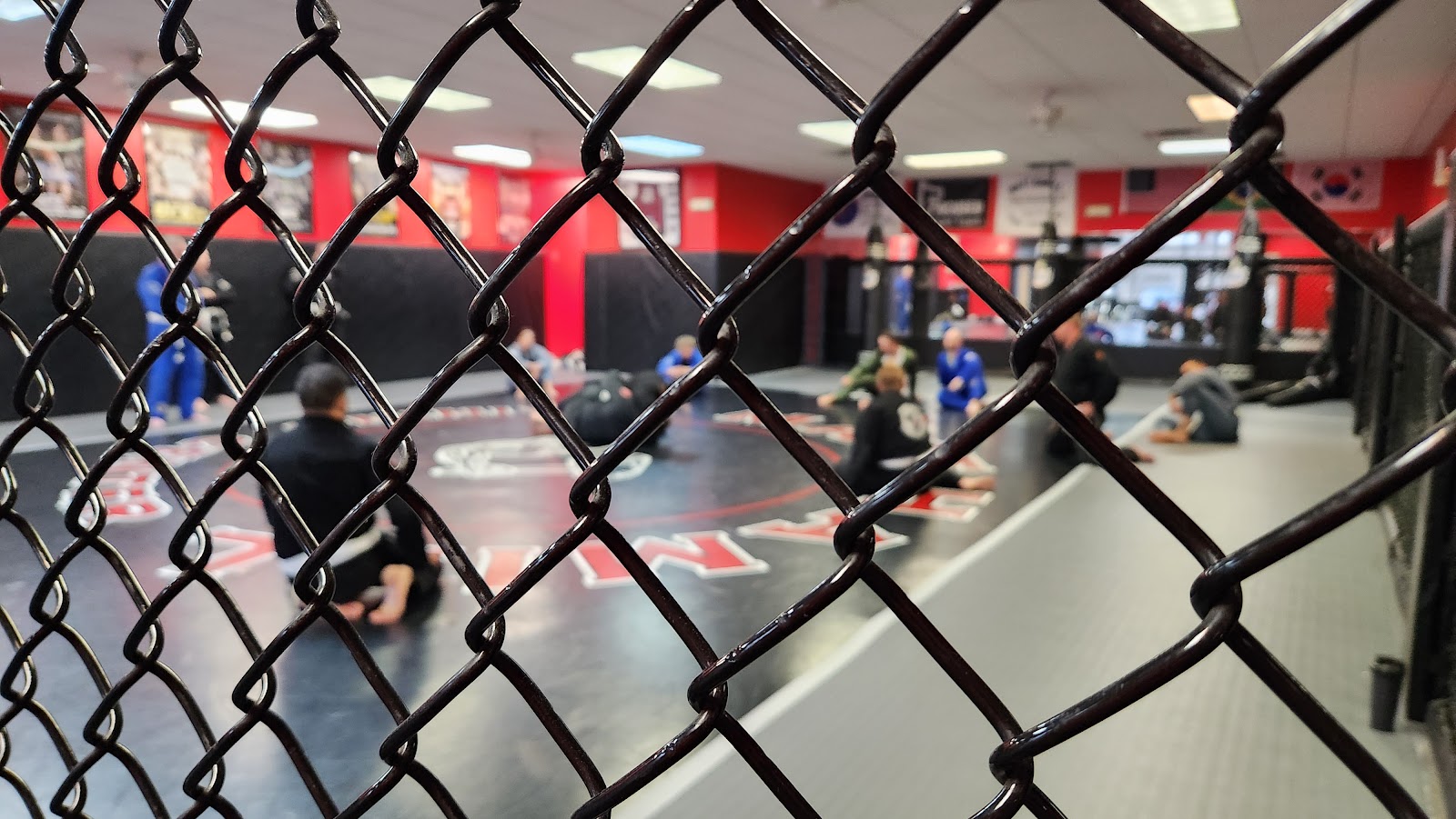 Image 10 of Park's TaeKwonDo, Jiu-jitsu, MMA, WRESTLING, BOXING & FITNESS