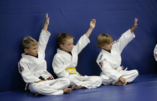 Image 9 of Gracie Martial Arts