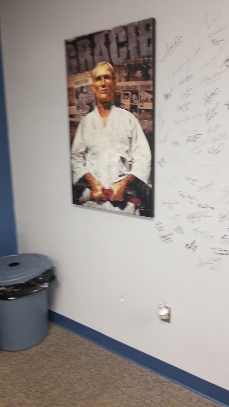 Image 6 of Pedro Sauer Jiu-Jitsu Academy