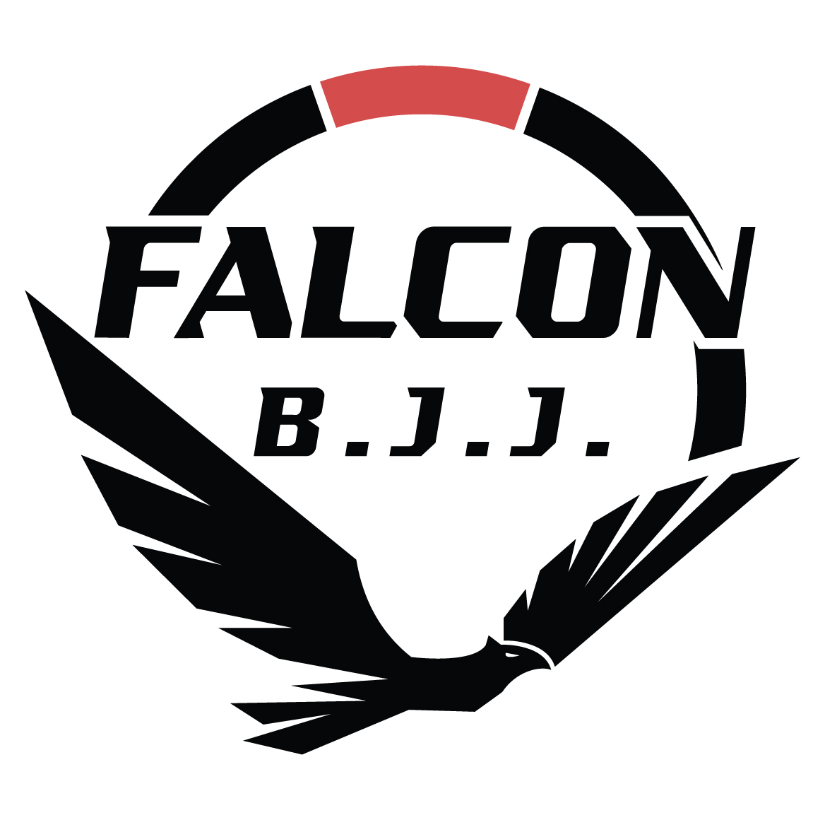 Image 6 of Falcon Brazilian Jiu Jitsu