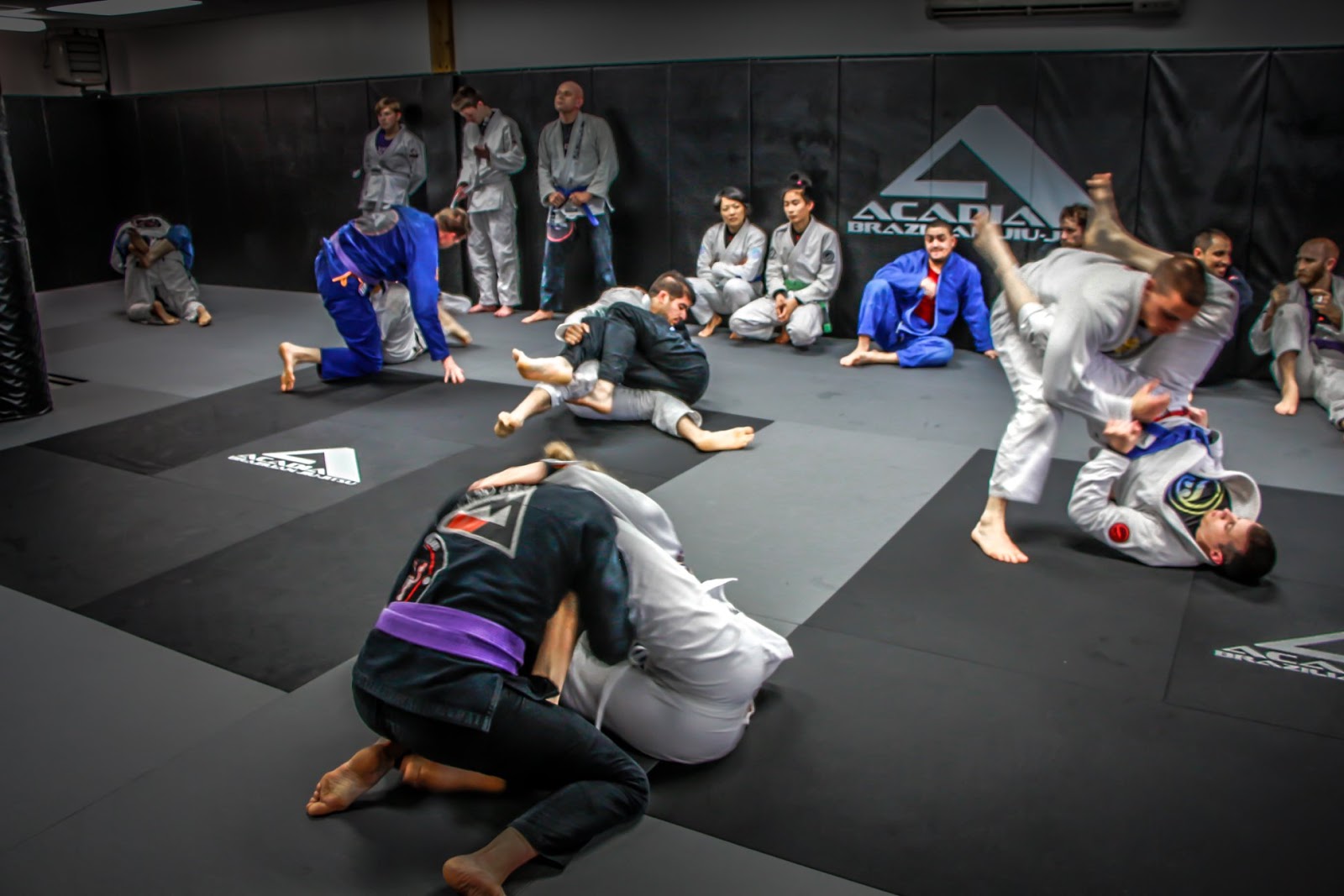 Image 5 of Gracie Jiu-Jitsu Acadia