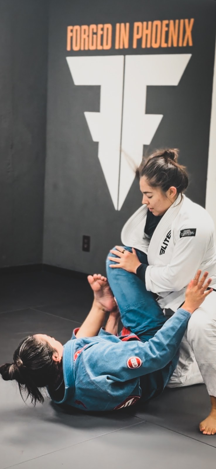 Image 8 of Forte Jiu Jitsu