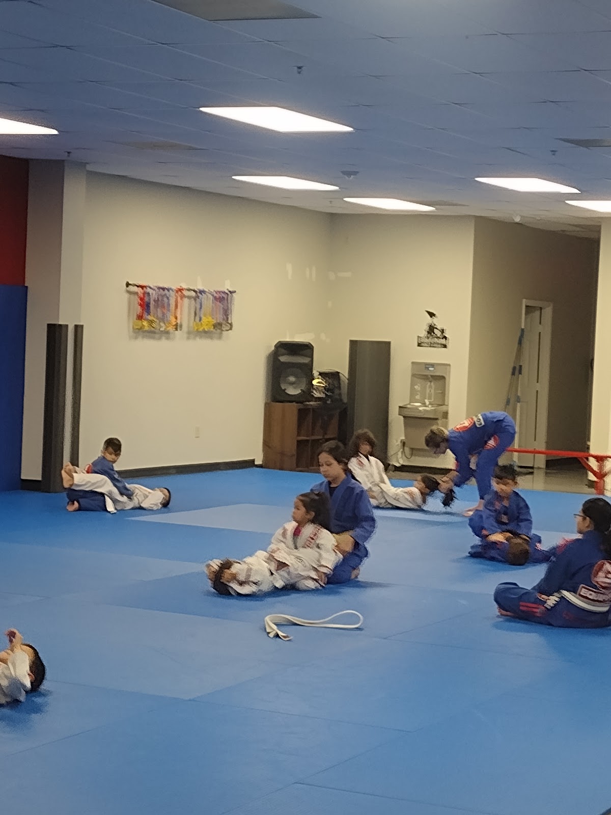 Image 10 of Gracie Barra Copperfield