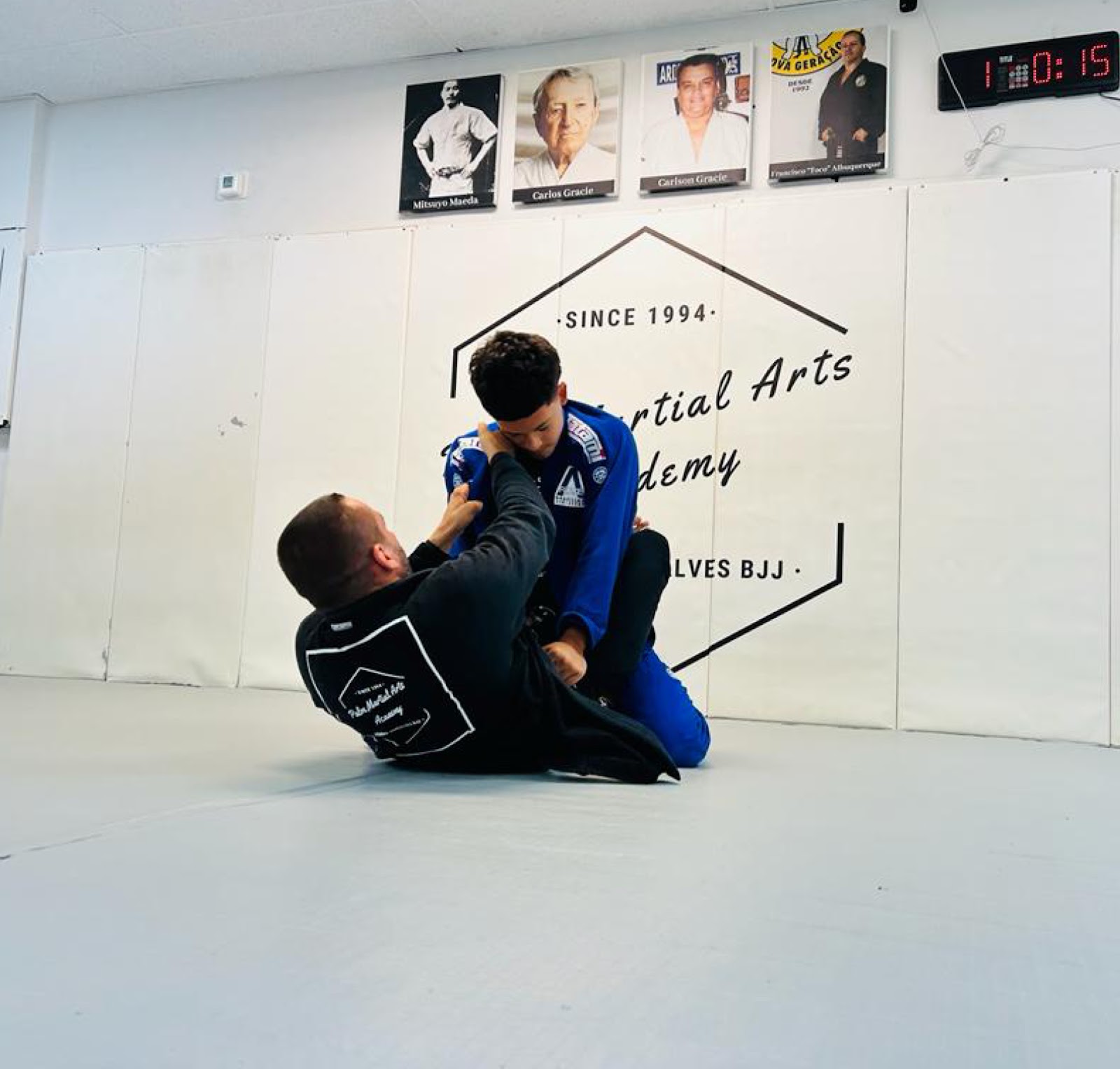 Image 10 of Palm Martial Arts Academy