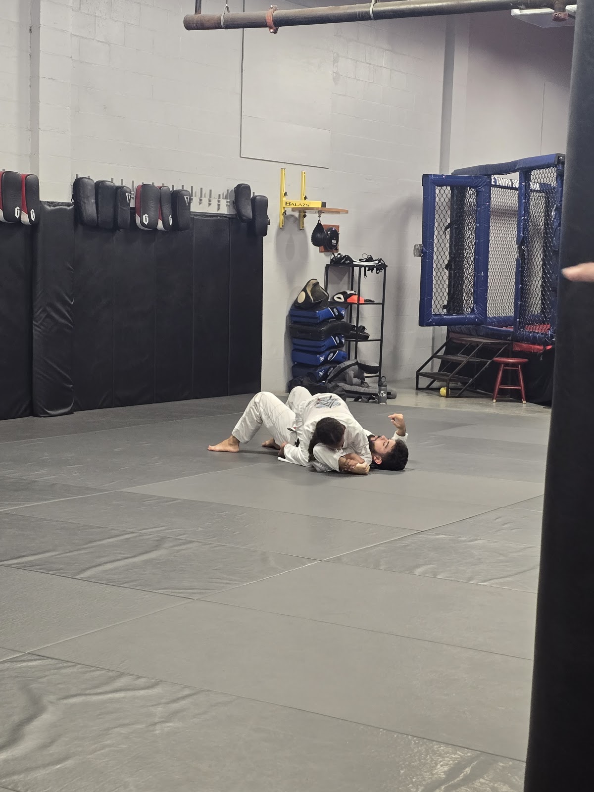 Image 3 of Gracie Tampa South MMA and BJJ