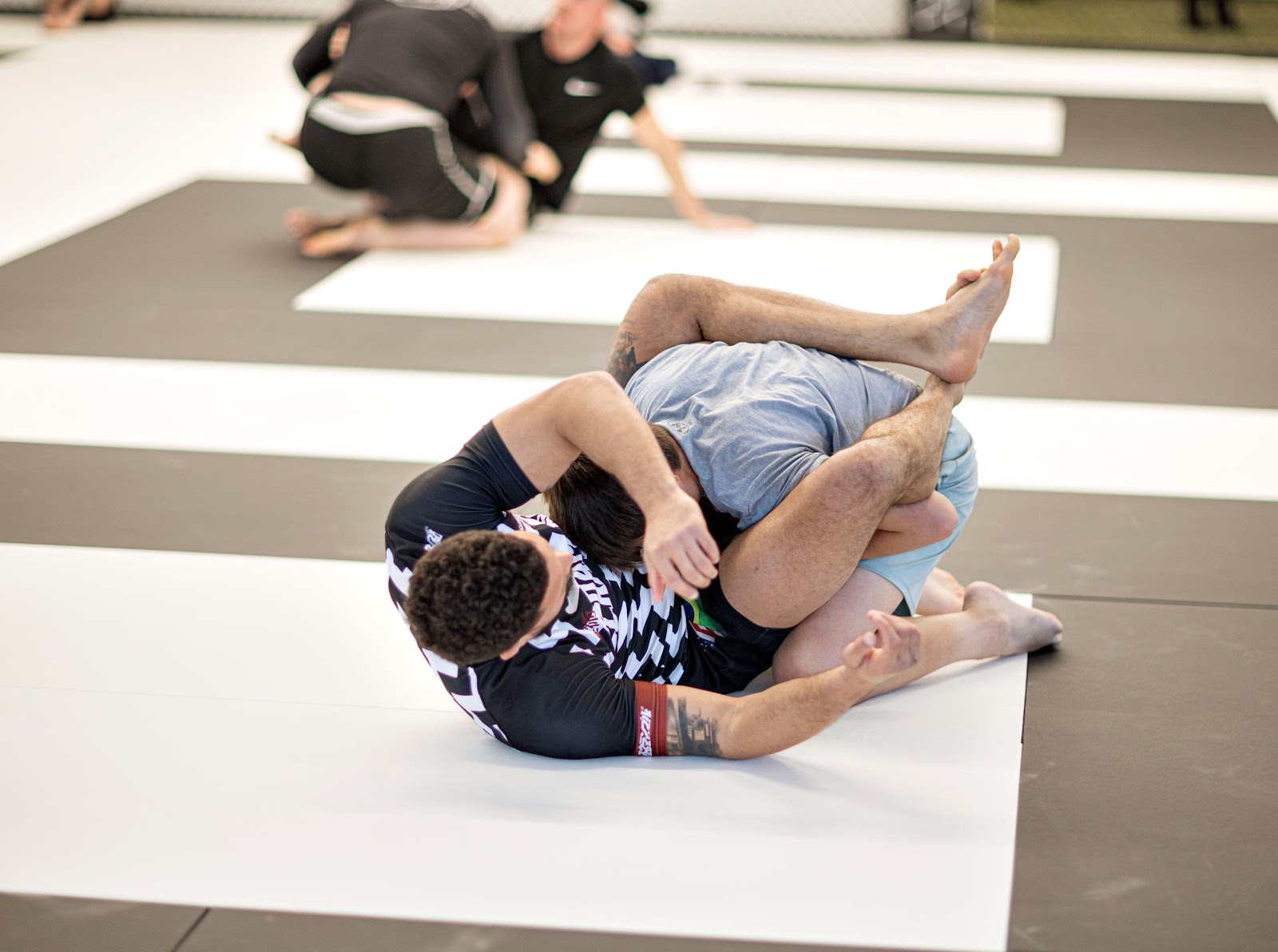 The Upstate Grappling Club photo