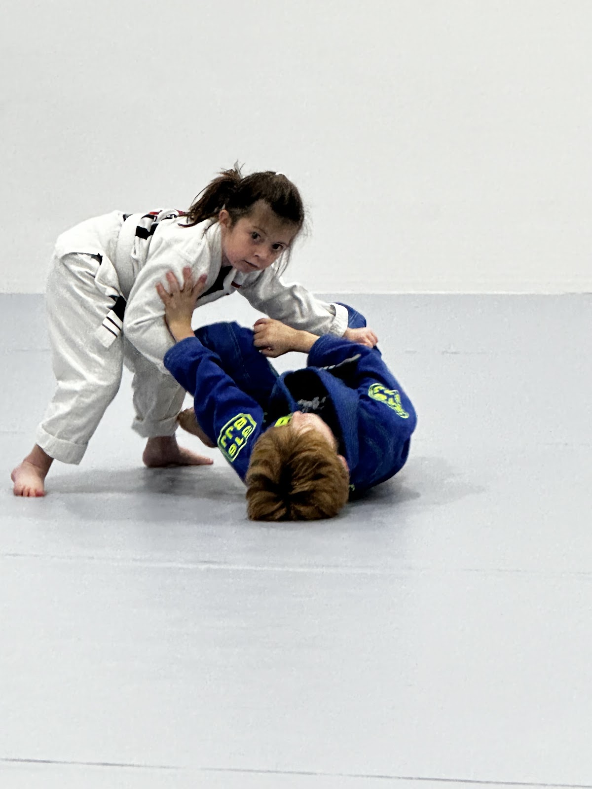 Image 2 of 316 BJJ Greenville