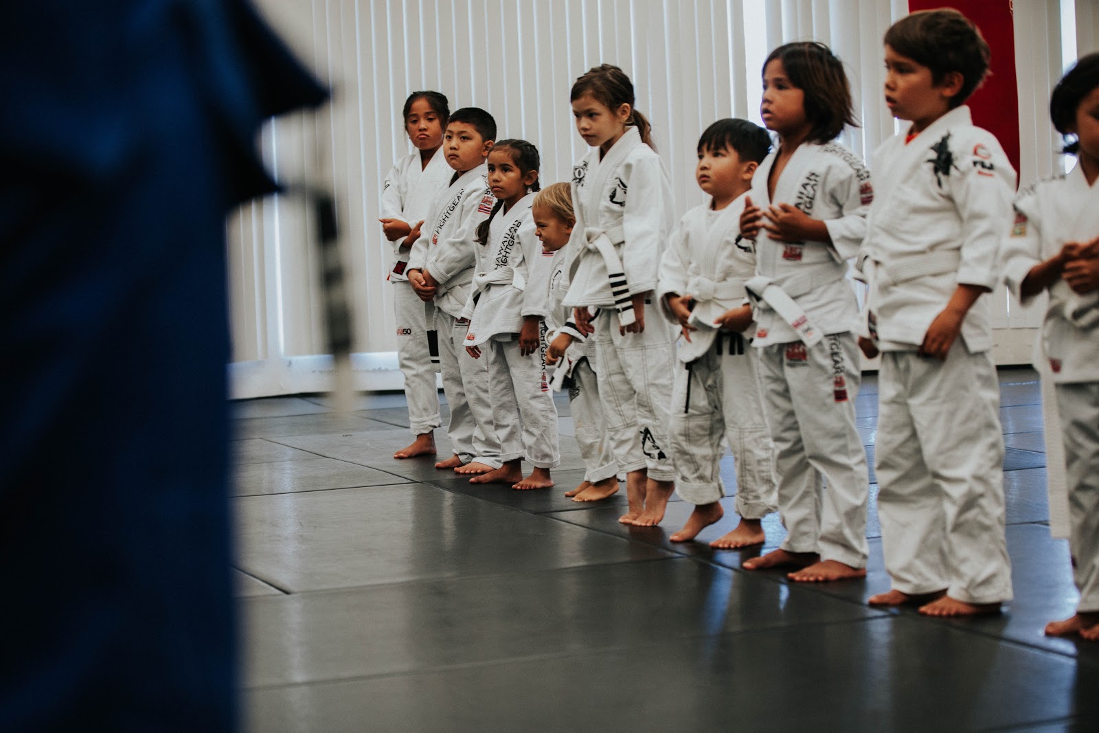 Image 10 of Island Jiu Jitsu, LLC