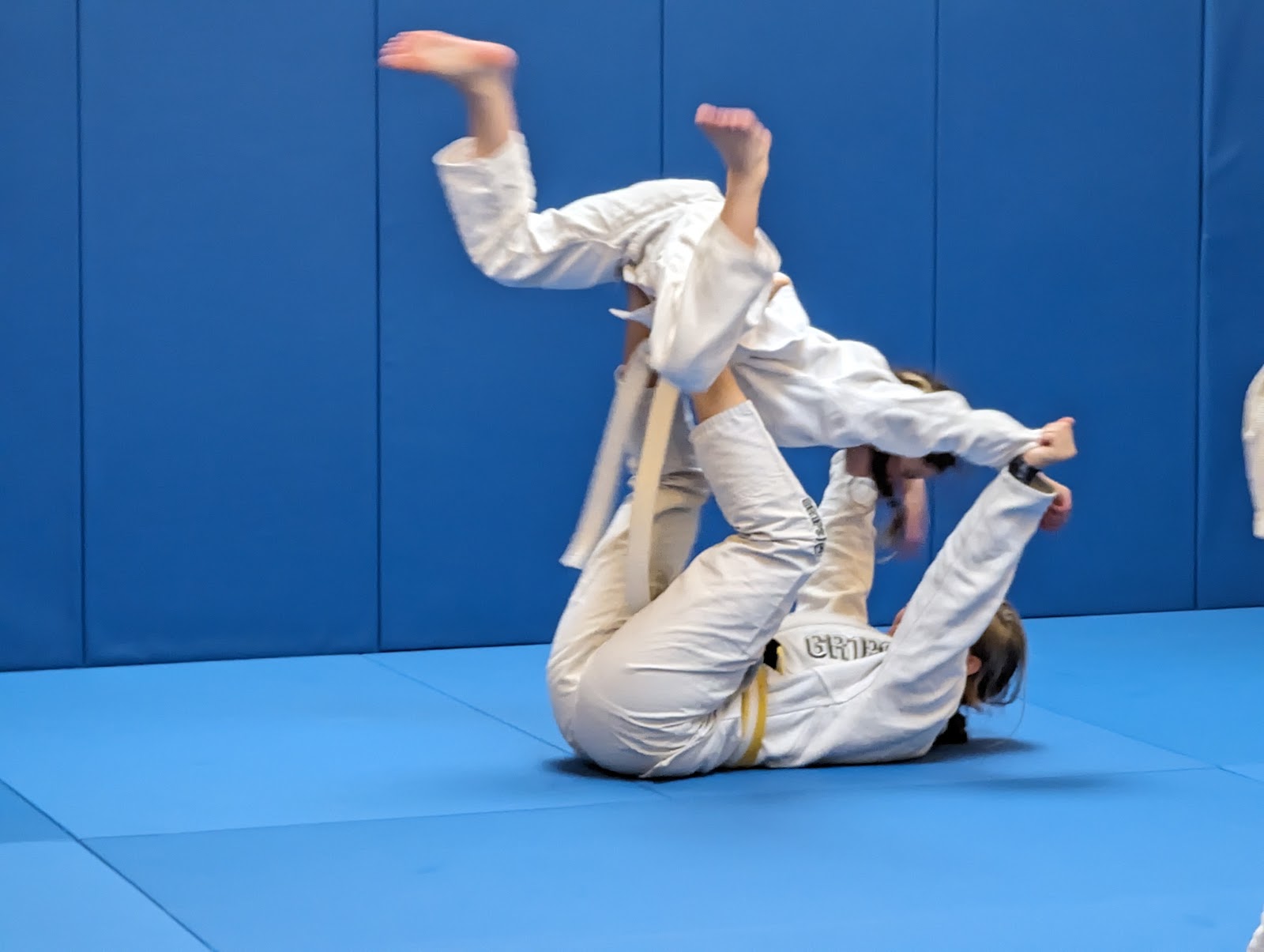 Main image of Tenzan Jiu Jitsu