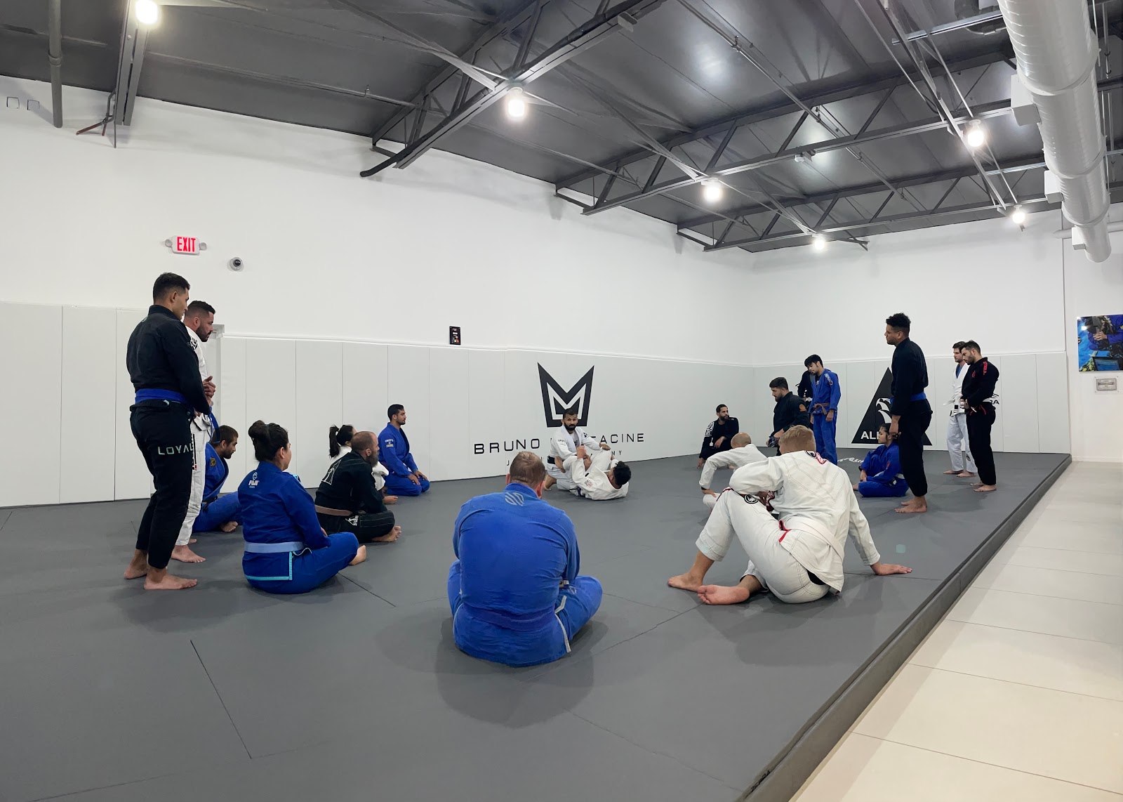 Main image of Alliance Jiu Jitsu | Bruno Malfacine