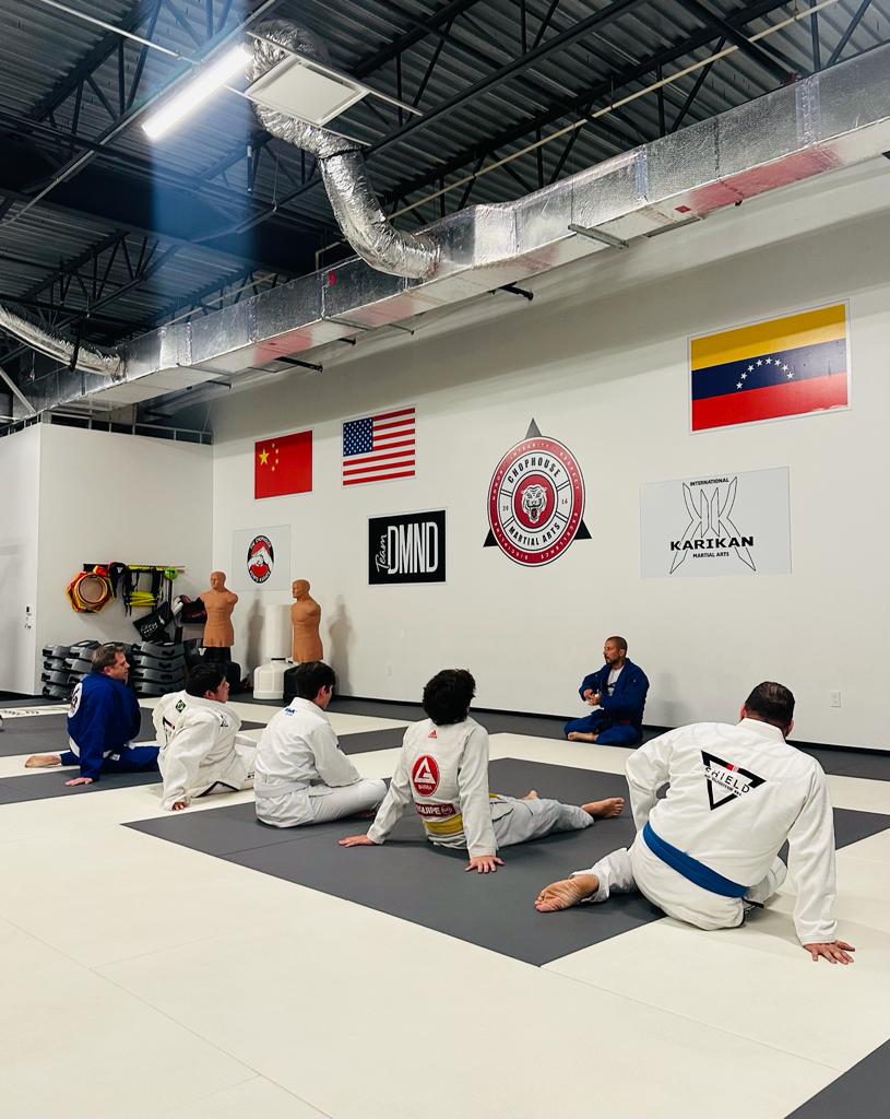 Shield Brazilian Jiu Jitsu photo