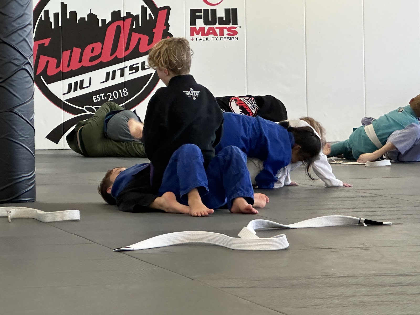 Image 8 of True Art Jiu Jitsu