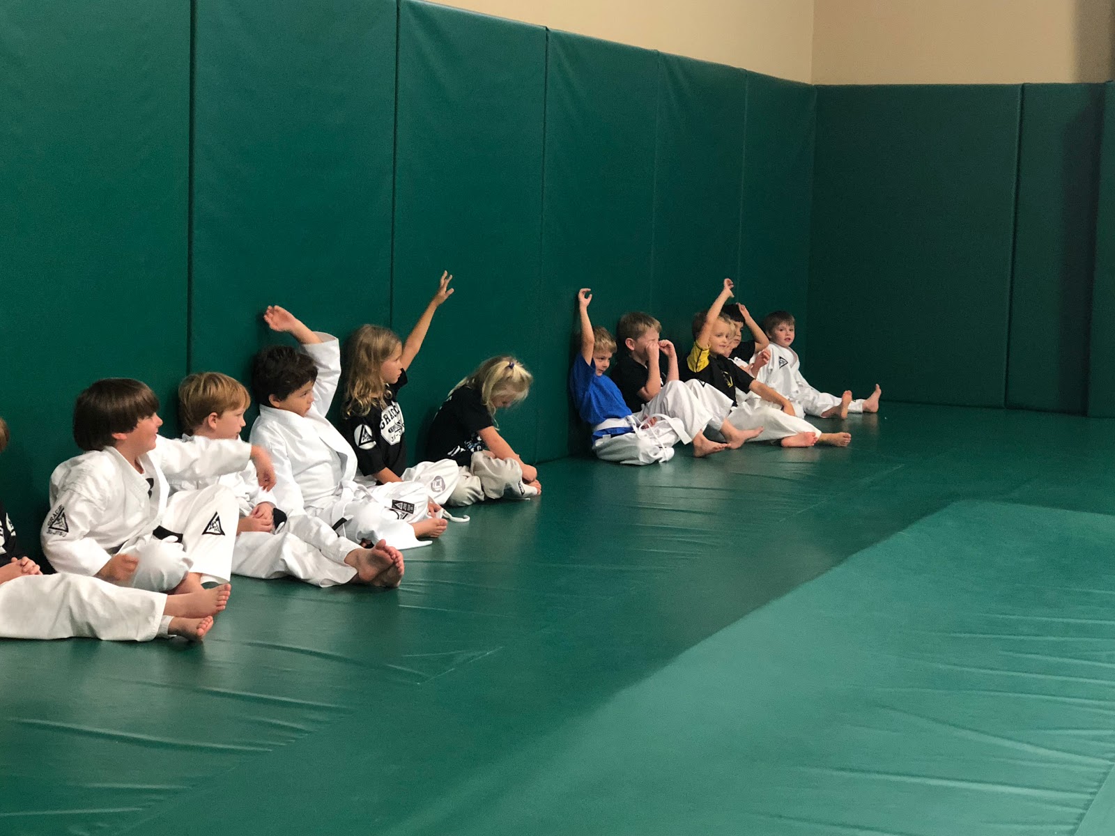 Image 2 of Gracie Jiu-Jitsu Madison