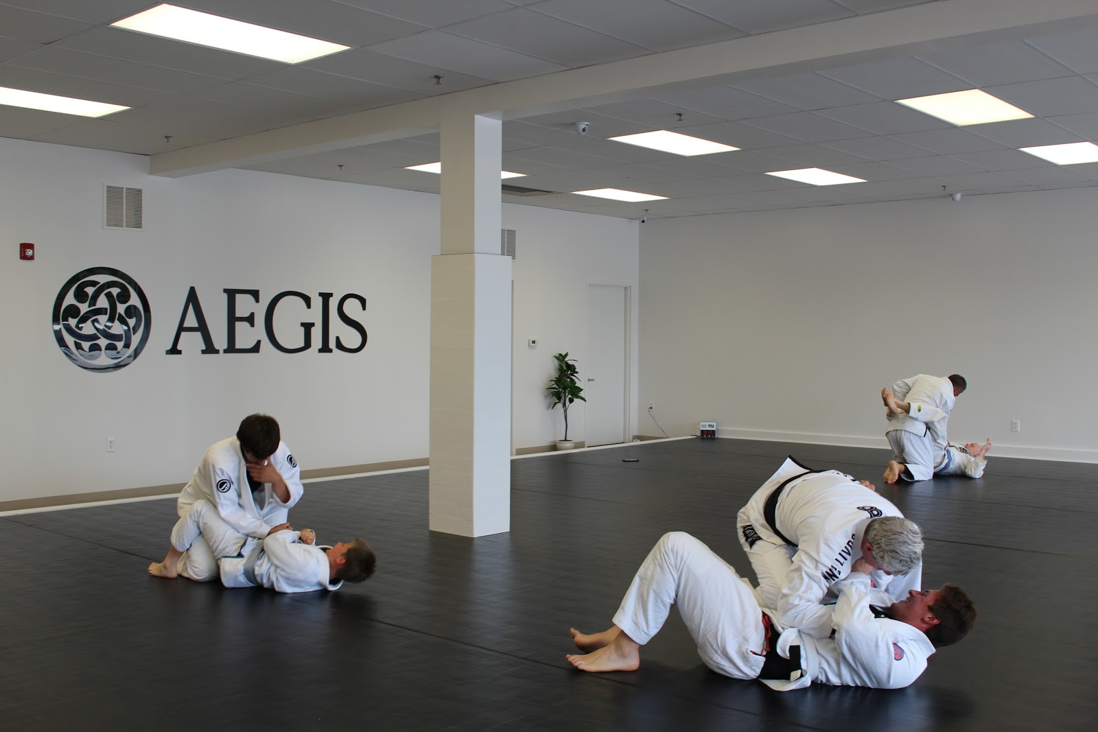 Aegis Jiu Jitsu photo