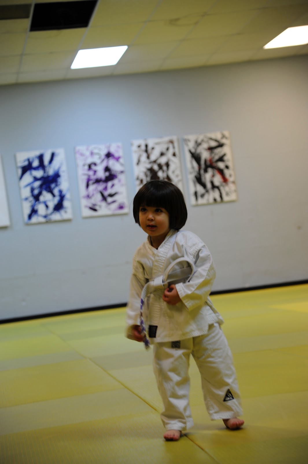 Image 9 of URSA Academy - Ribeiro Jiu-Jitsu Ann Arbor