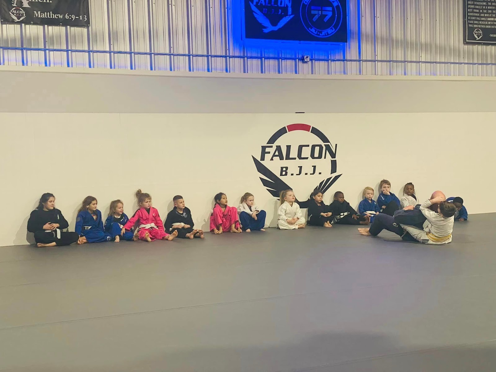 Image 8 of Falcon Brazilian Jiu Jitsu