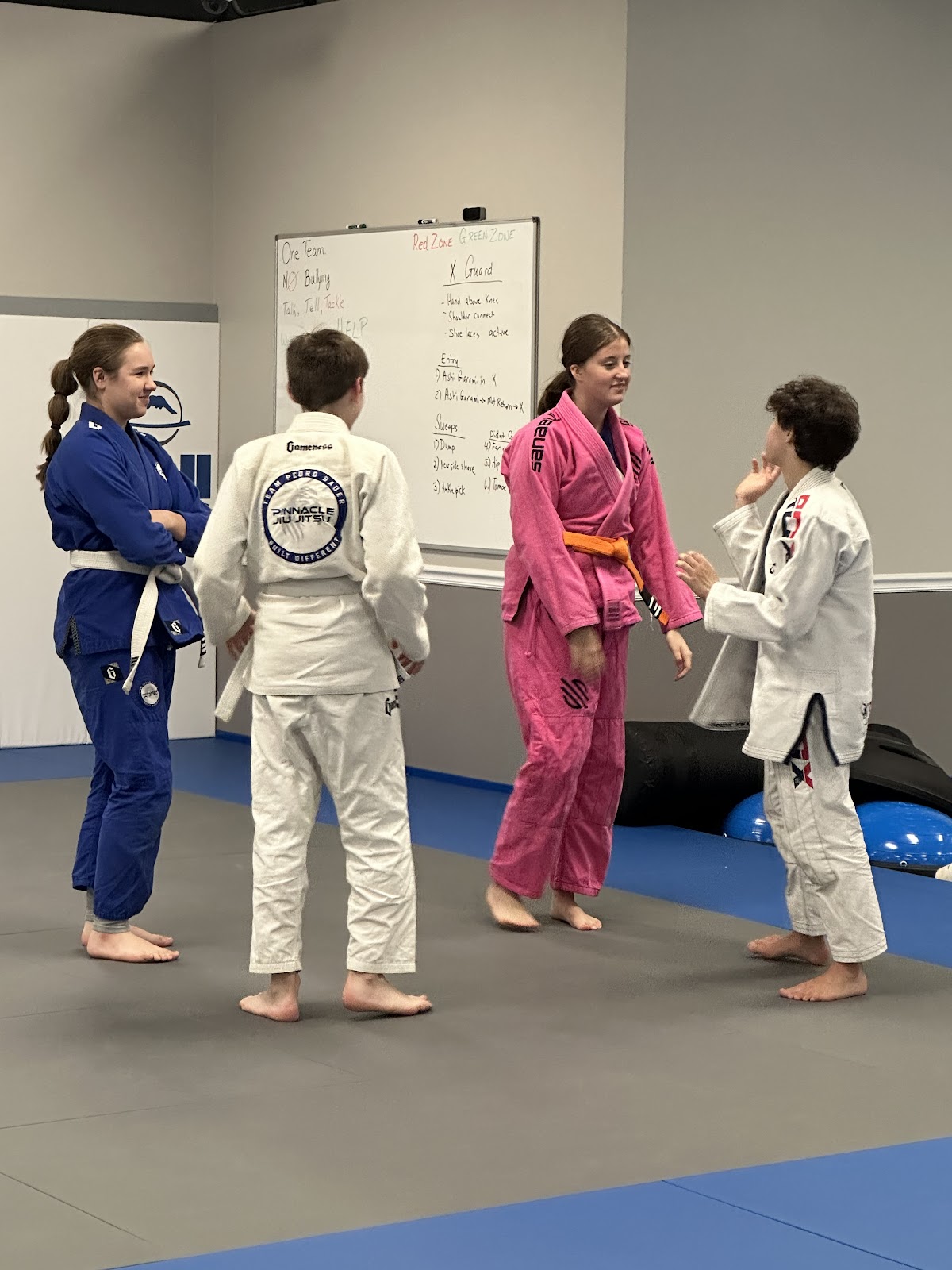 Image 4 of Pinnacle Jiu Jitsu