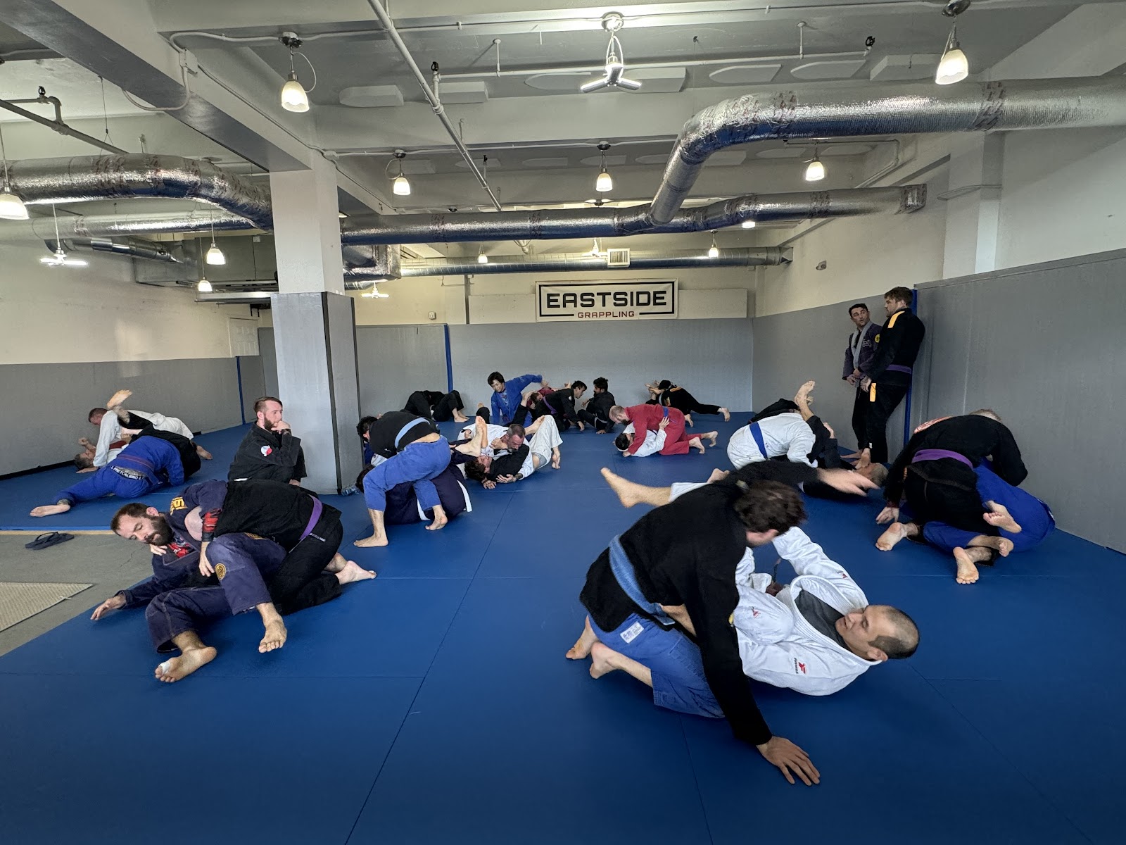 Eastside Grappling photo