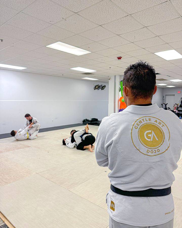 Image 4 of Gentle Art Dojo