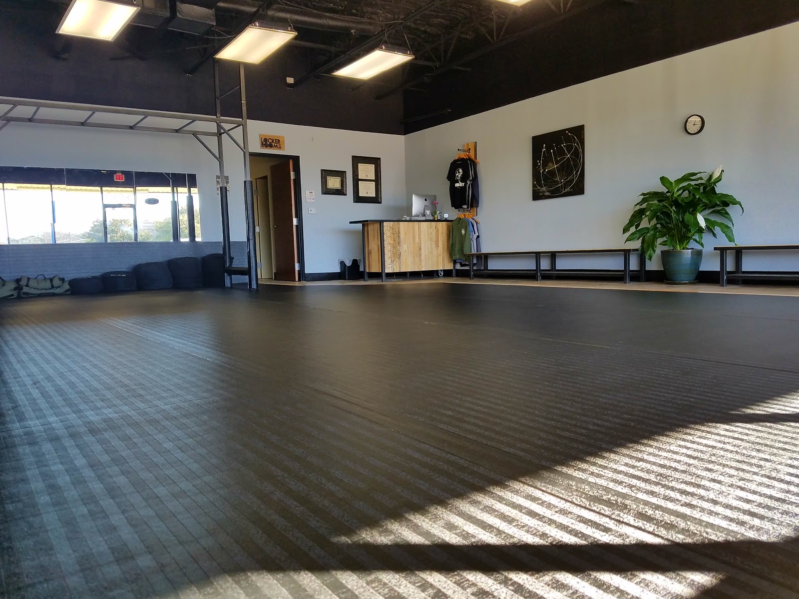 Image 6 of Frequency BJJ & Fitness