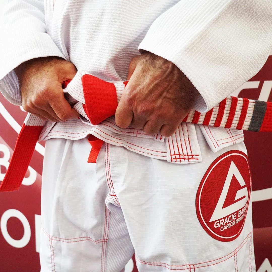 Image 6 of Gracie Barra Celebration / Martial Arts School