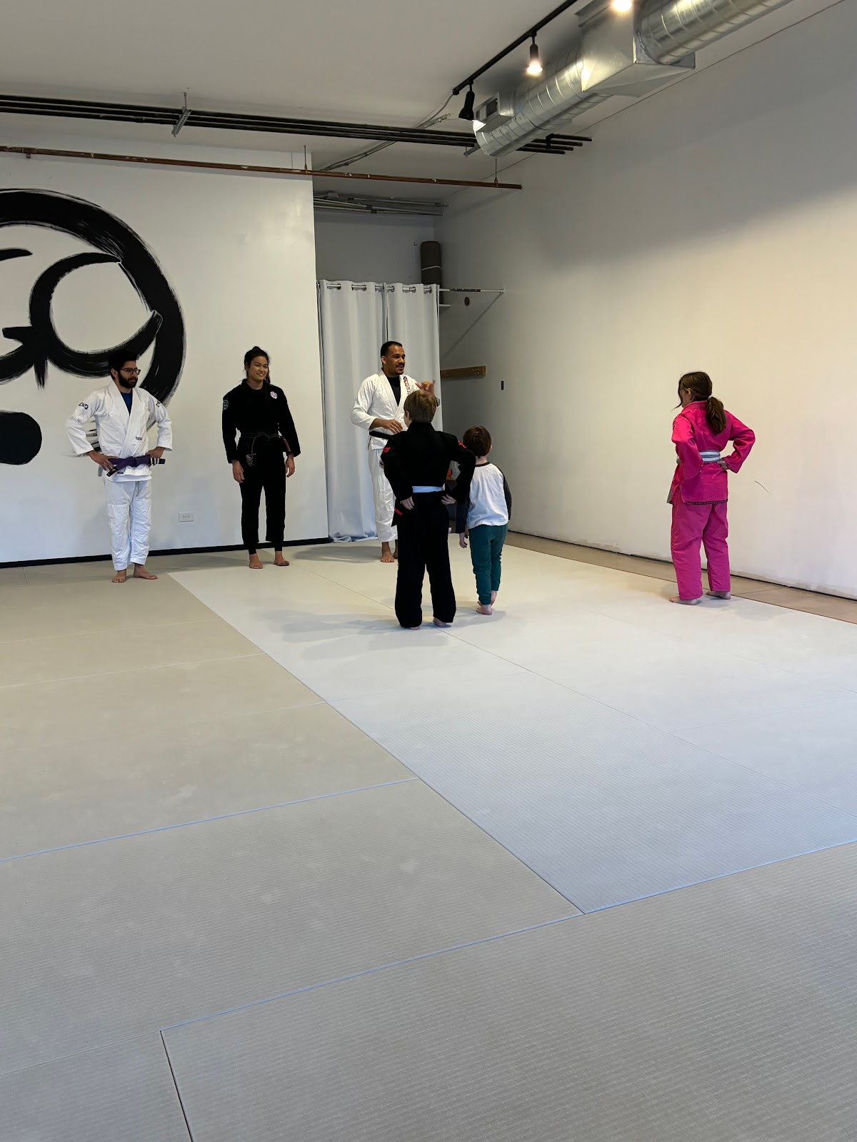 Image 5 of New Level Jiu-Jitsu