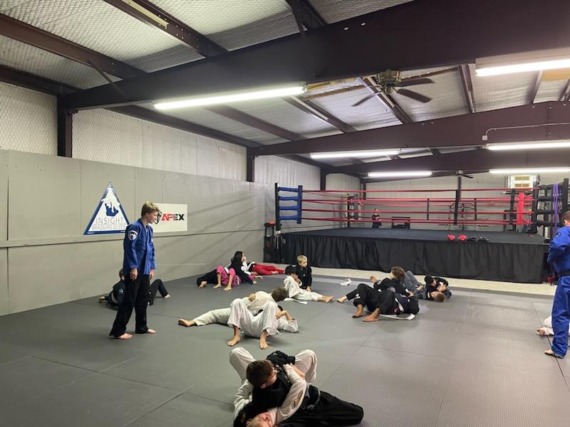 Main image of Insight BJJ, Striking & MMA - Brenham