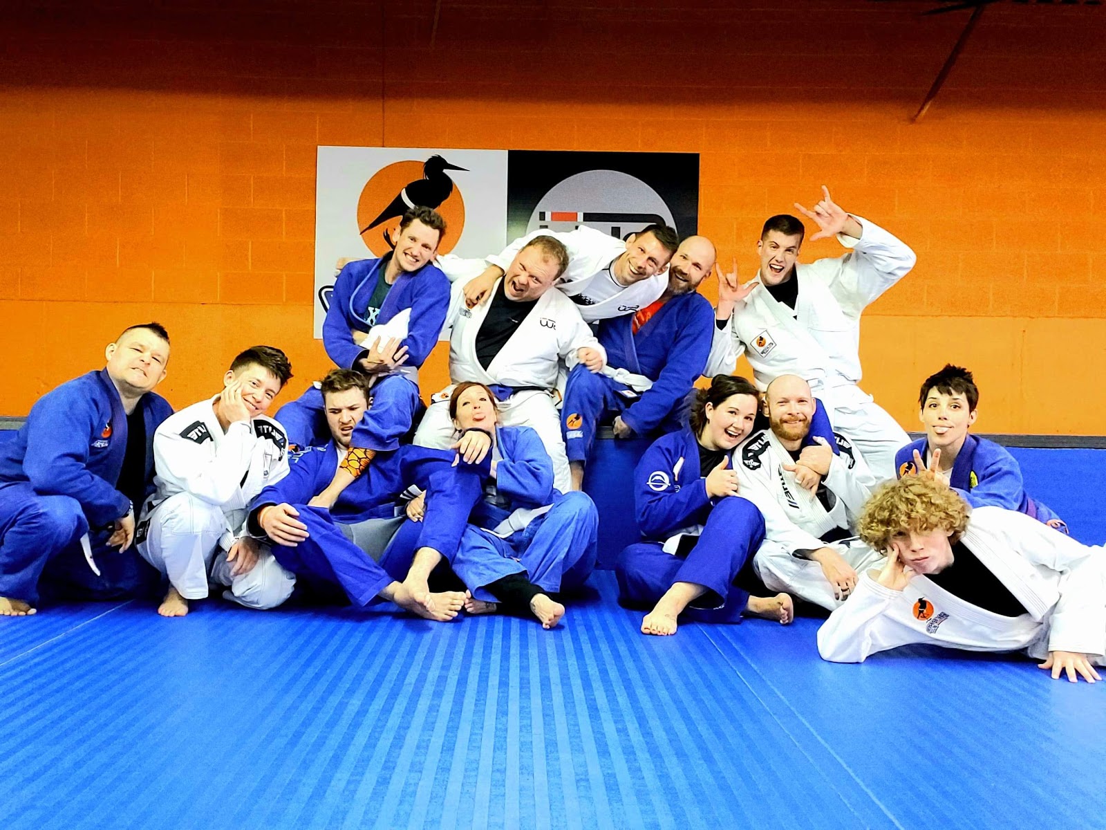 Herron Jiu-Jitsu (HerronBJJ) photo