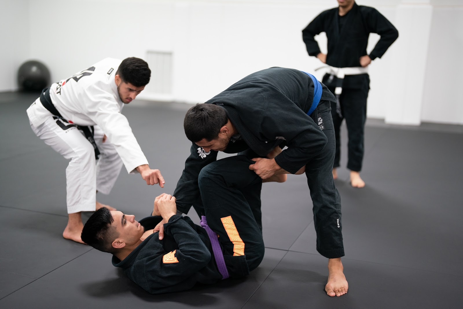 Image 8 of Inevat Brazilian Jiu JItsu