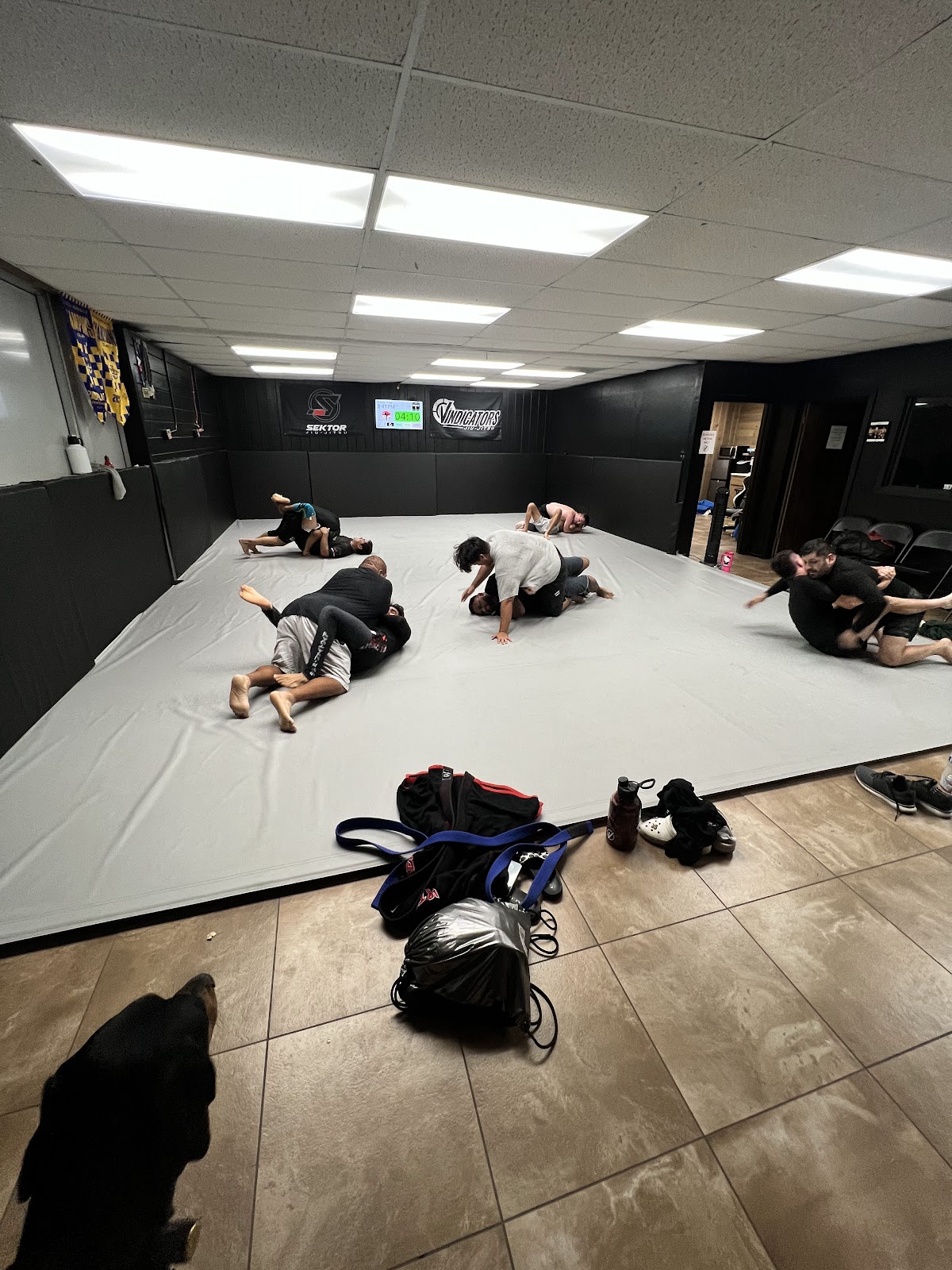 Main image of Vindicators Jiu Jitsu