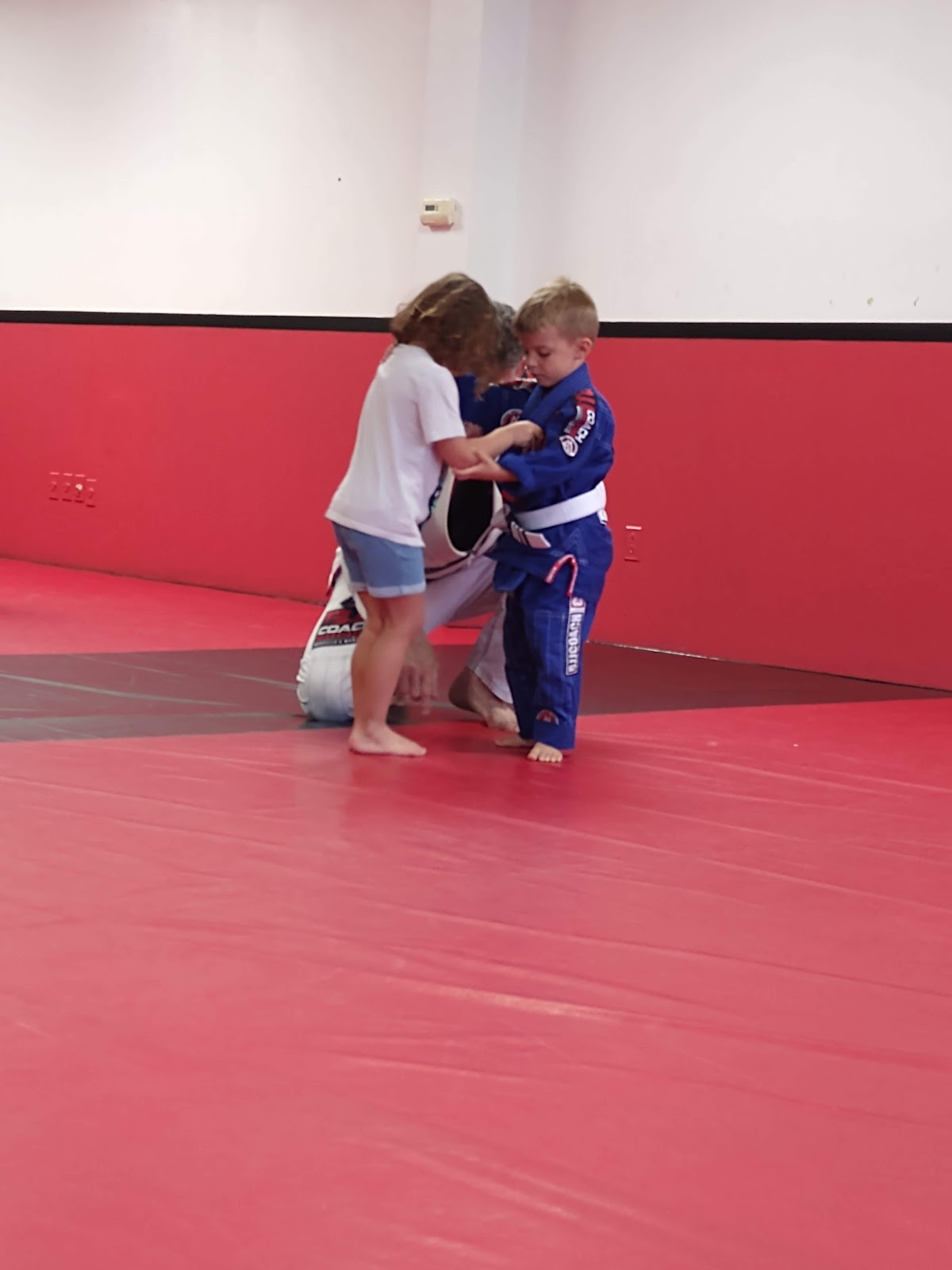 Main image of Nelumbo Jiu-Jitsu Martial Arts Academy