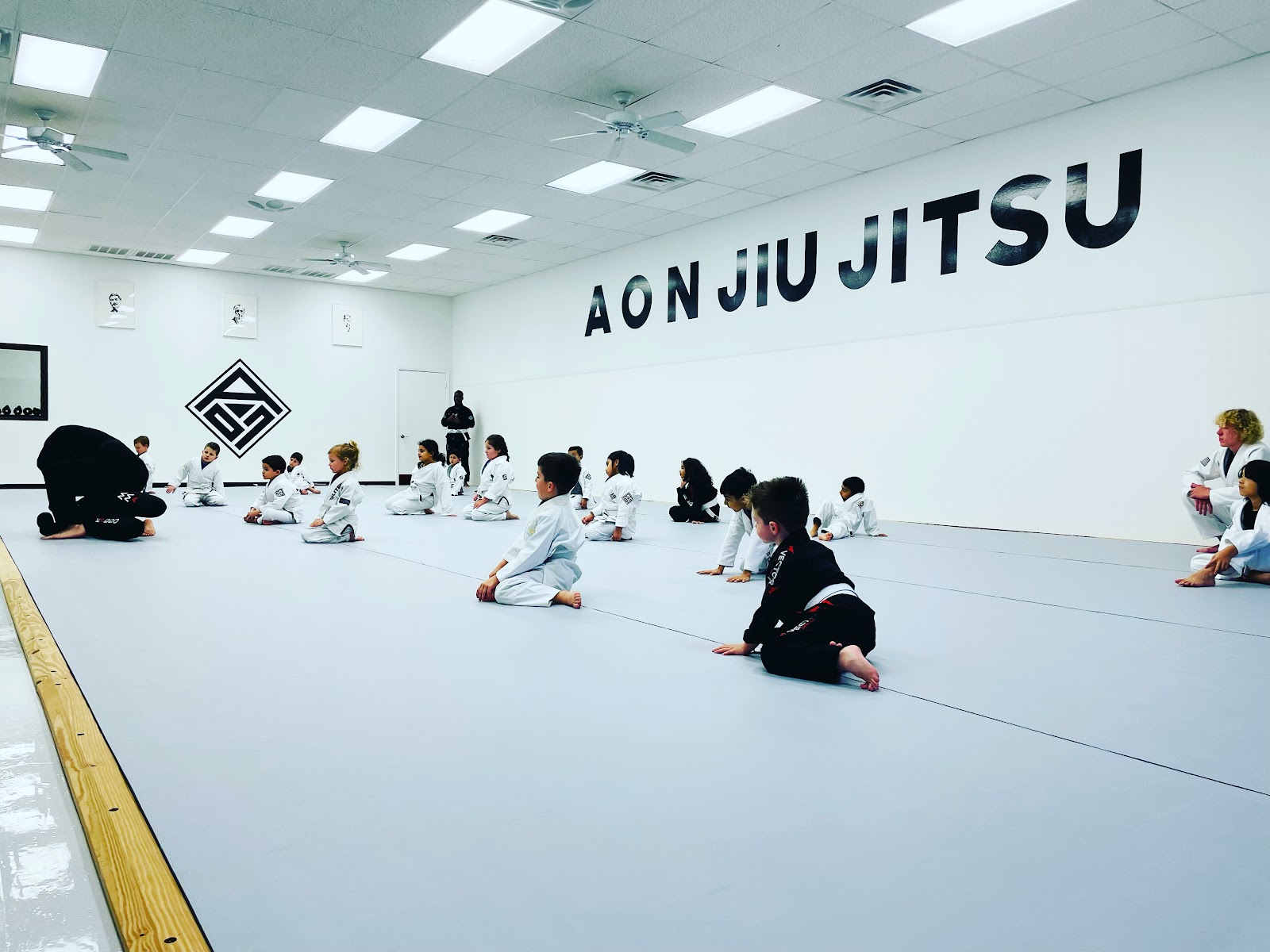 Main image of AON Jiu Jitsu