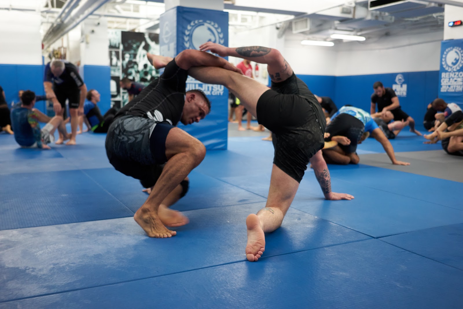 Image 3 of Renzo Gracie Jiu Jitsu Academy Milford