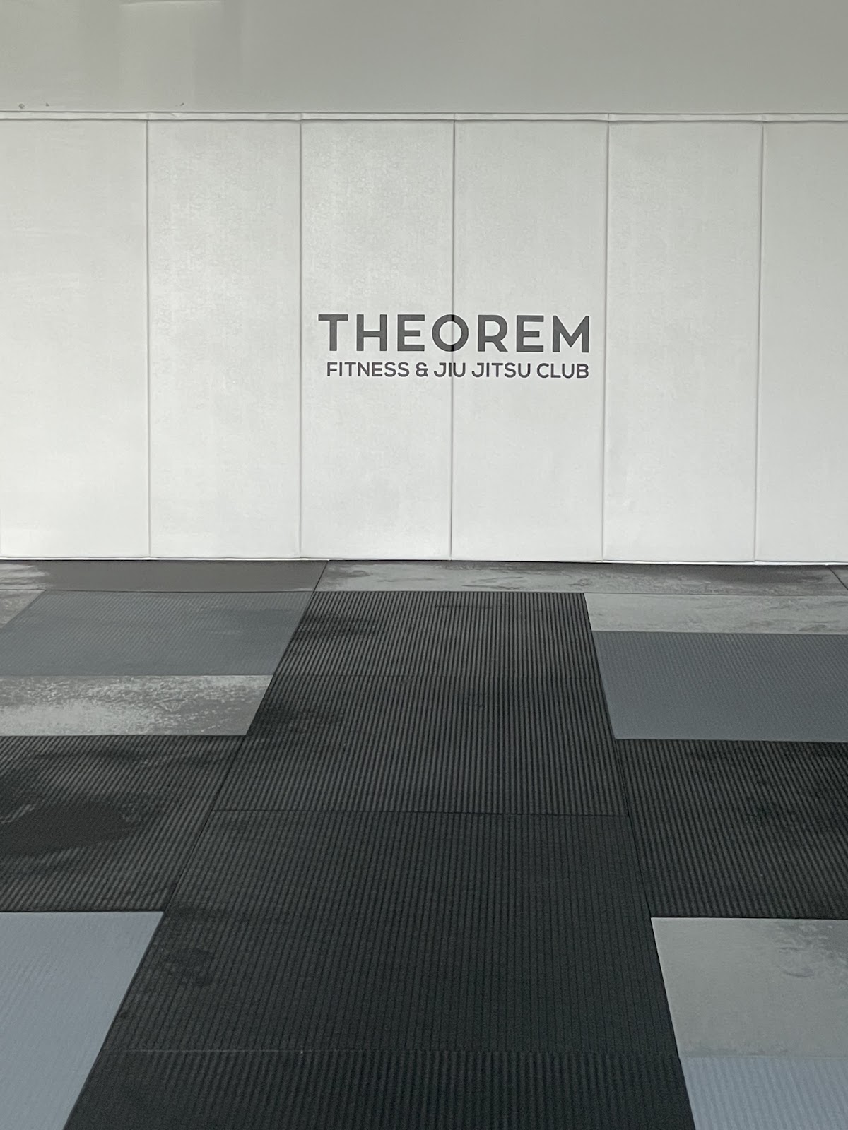 Image 8 of Theorem Fitness & Jiu Jitsu Club