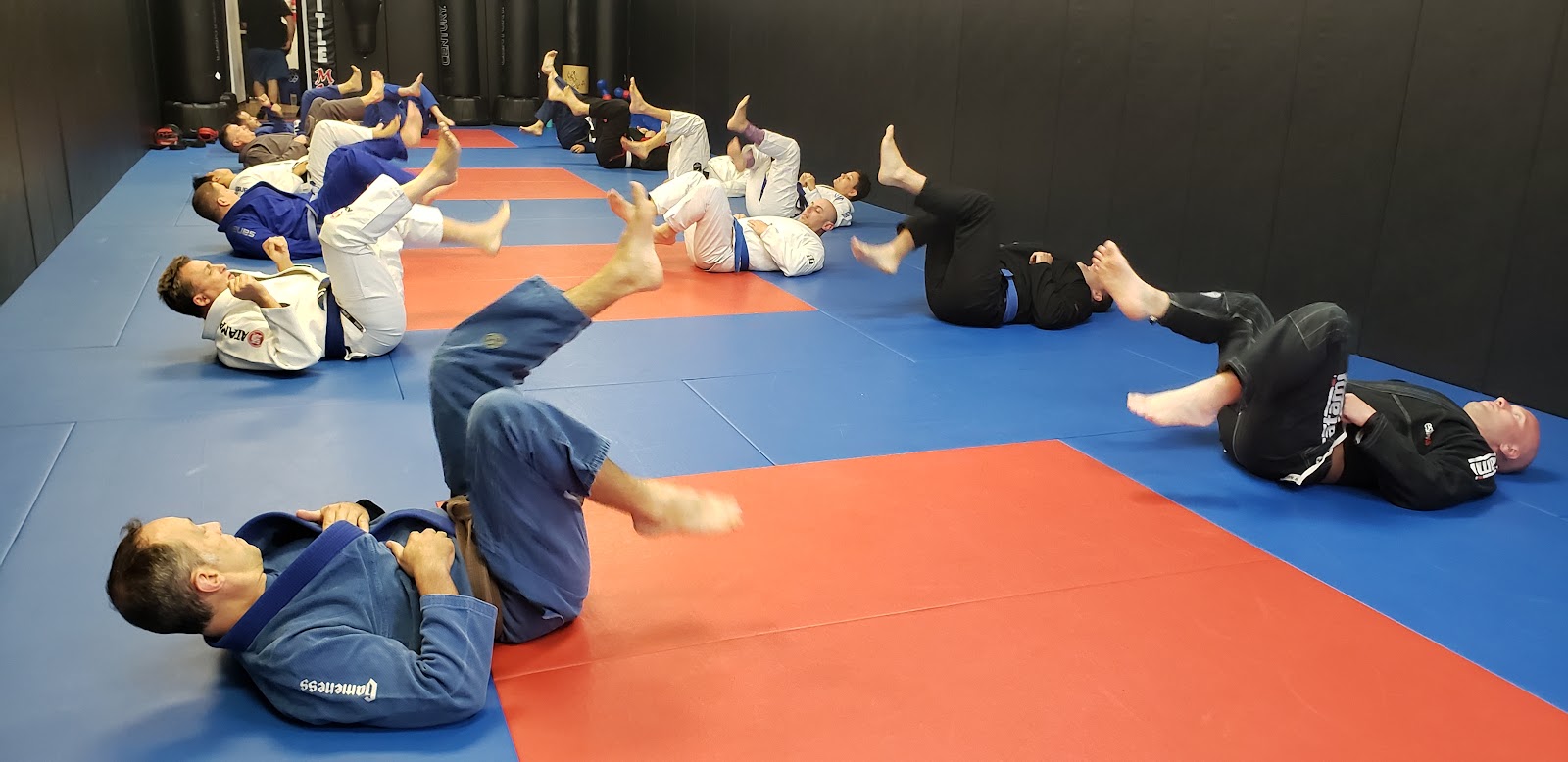 Loyalty BJJ photo