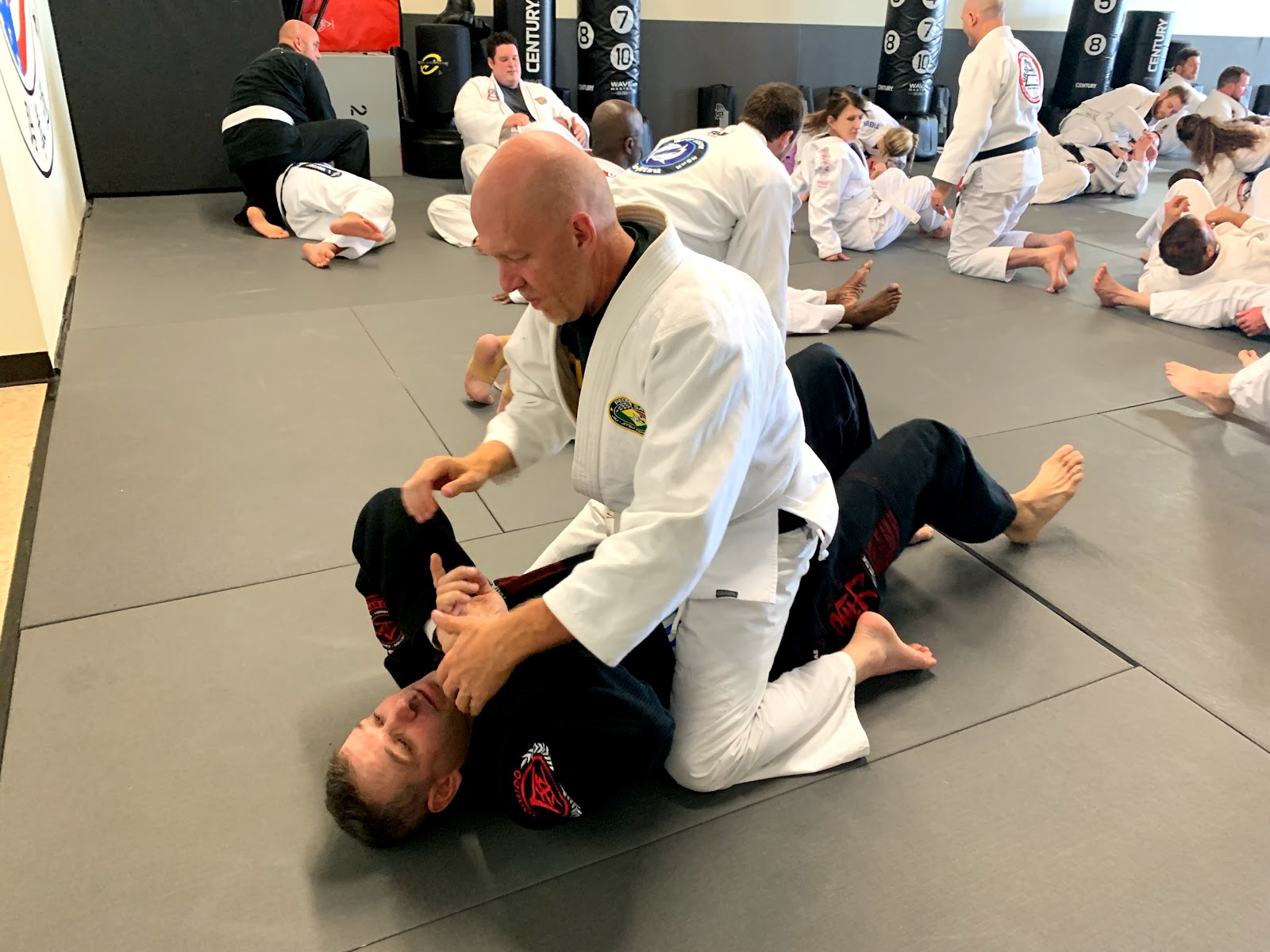 Image 9 of Kent Jiu Jitsu