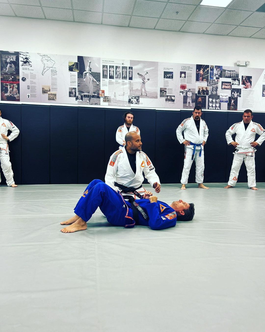 Image 5 of Gracie Elite Jiu-Jitsu Wellington