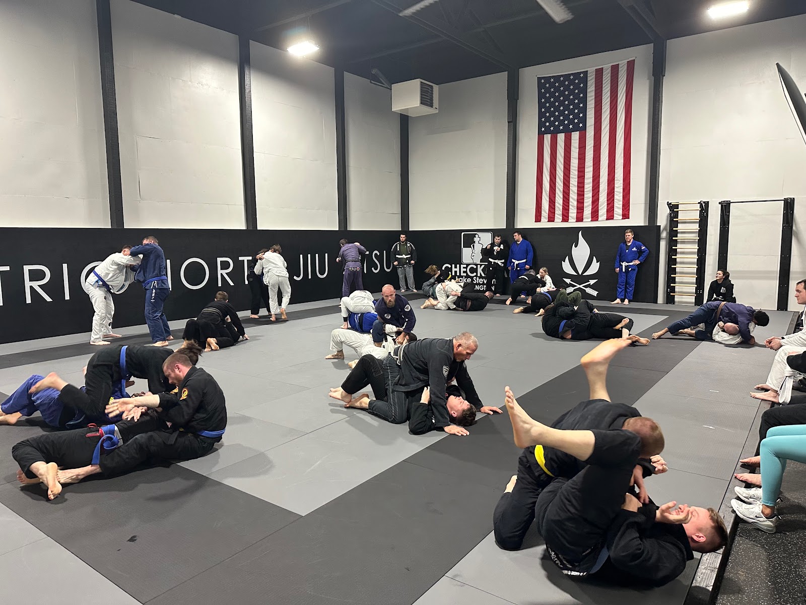 Image 8 of Electric North Jiu Jitsu