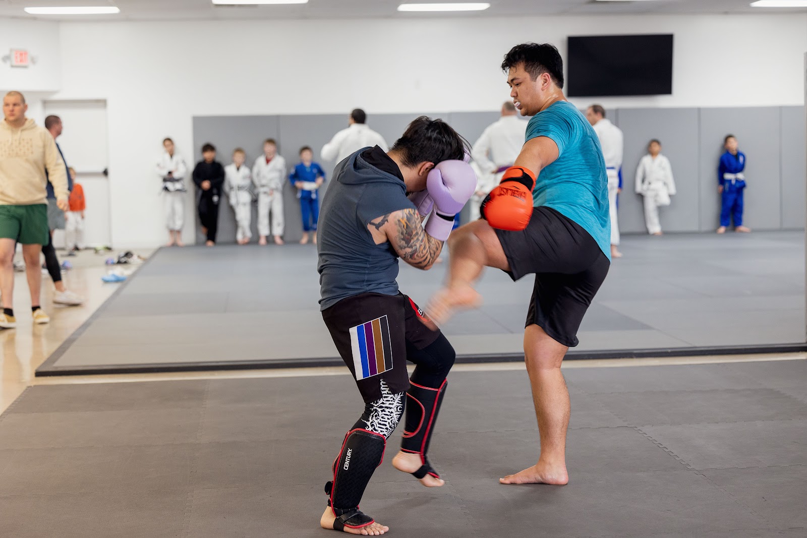 Image 8 of Progresso Jiu Jitsu Plano