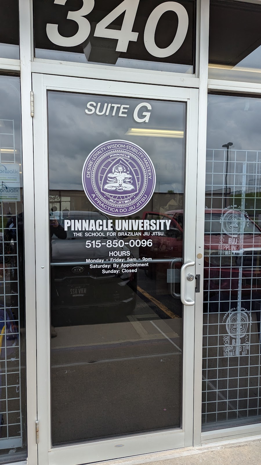 Pinnacle University BJJ photo